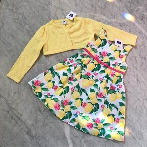 🌸Janie and Jack Lemon Dress & Cardigan Set -2T